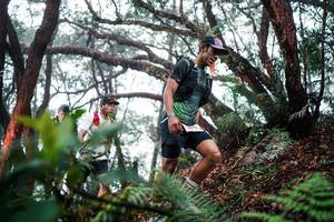 BIB: 
                            <button type="button" onclick="openModal(26295989)" class="btn btn-primary btn-sm float-right btn-popup" data-toggle="modal" data-target=".modal-high-quality">
                        <i class="fas fa-shopping-cart"></i> Add to Cart
                    </button>
                                            <button type="button" onclick="isThisMe(26295989, true)" class="btn btn-success btn-sm float-right btn-popup btn-isme hidden" data-toggle="tooltip" data-placement="bottom" title="นี่คือรูปของคุณใช่ไหม คลิกที่นี่เพื่อเอาเข้าอัลบั้ม">
                        <i class="fas fa-plus"></i> Add to album
                    </button>
                    <button type="button" onclick="isThisMe(26295989, false)" class="btn btn-warning btn-sm float-right btn-popup btn-isnotme hidden">
                        <i class="fas fa-ban"></i> Remove from album
                    </button>